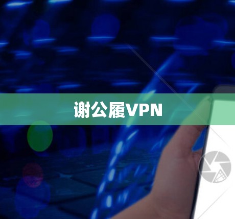 谢公履VPN