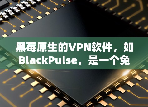 黑莓原生的VPN软件，如BlackPulse，是一个免费的选项，适合基本的VPN需求。以下是使用BlackPulse的步骤