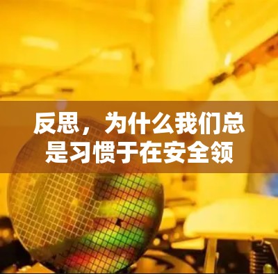 反思，为什么我们总是习惯于在安全领域被忽视？