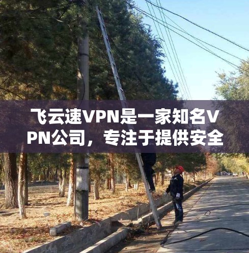 飞云速VPN是一家知名VPN公司，专注于提供安全、便捷的VPN服务。以下是对飞云速VPN的一些详细介绍