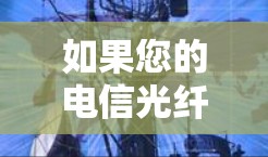 如果您的电信光纤被限制用于VPN,可能是因为美国联邦通信与信息中心(FTC)禁止了VPN服务。以下是可能的原因和解决办法
