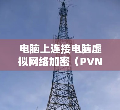 电脑上连接电脑虚拟网络加密（PVN）通常是因为安装正确且配置合理。以下是一步步的解决方案