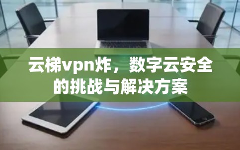 云梯vpn炸,数字云安全的挑战与解决方案
