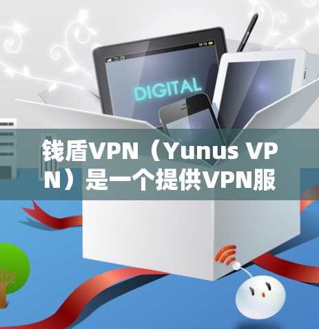 钱盾VPN（Yunus VPN）是一个提供VPN服务的工具，用于安全地传输数据、视频会议和远程办公等用途。以下是关于钱盾VPN权限设置的详细介绍