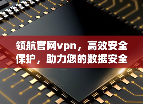 领航官网vpn,高效安全保护,助力您的数据安全 领航官网vpn,高效安全保护,助力您的数据安全