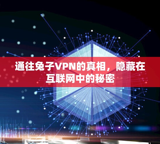 通往兔子VPN的真相，隐藏在互联网中的秘密