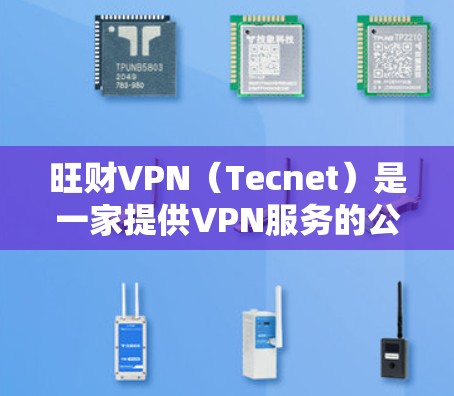 旺财VPN（Tecnet）是一家提供VPN服务的公司，专注于提供安全、可靠的VPN解决方案。以下是关于旺财VPN充值的详细信息