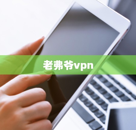 老弗爷vpn