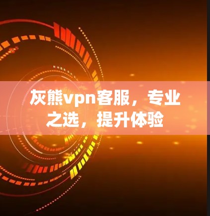 灰熊vpn客服，专业之选，提升体验
