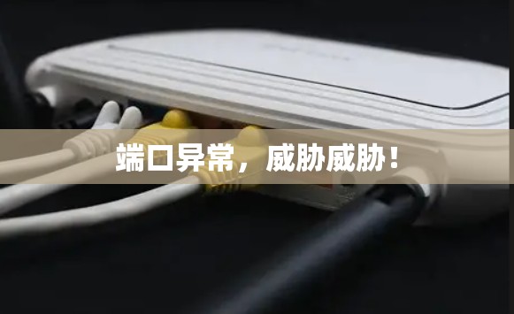端口异常,威胁威胁! 端口异常,威胁威胁!