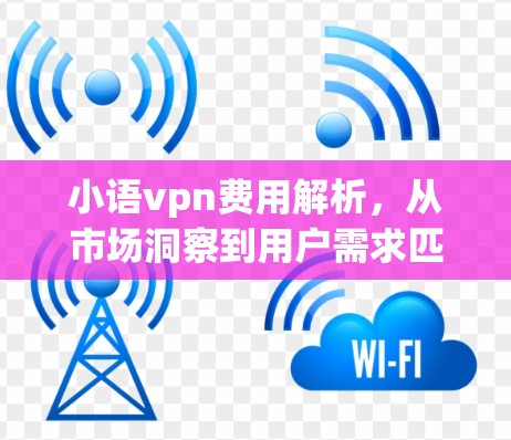 小语vpn费用解析,从市场洞察到用户需求匹配 小语vpn费用解析,从市场洞察到用户需求匹配