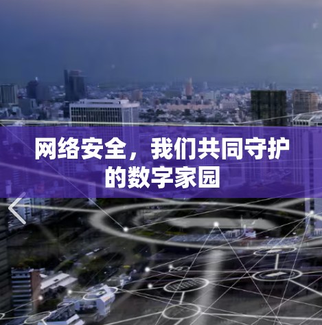 网络安全，我们共同守护的数字家园
