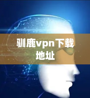 驯鹿vpn下载地址