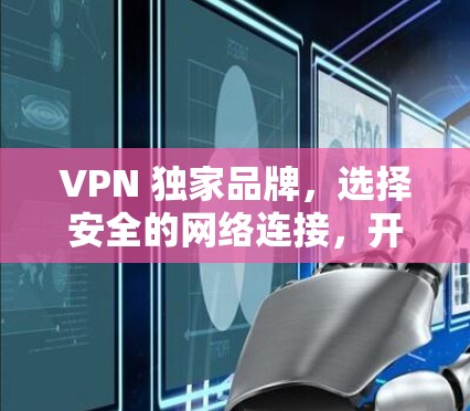 VPN 独家品牌,选择安全的网络连接,开启你的VPN之旅