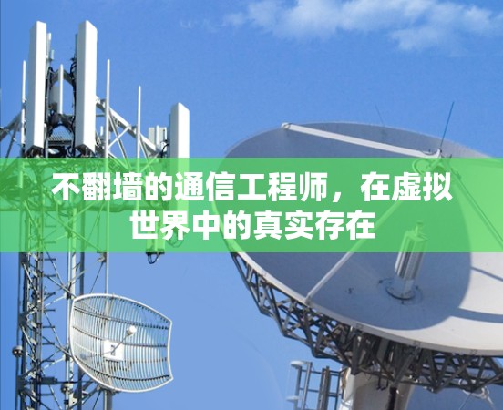 不翻墙的通信工程师,在虚拟世界中的真实存在 不翻墙的通信工程师,在虚拟世界中的真实存在