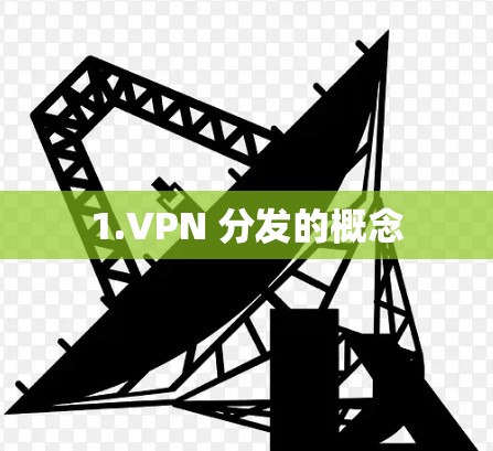 1.VPN 分发的概念