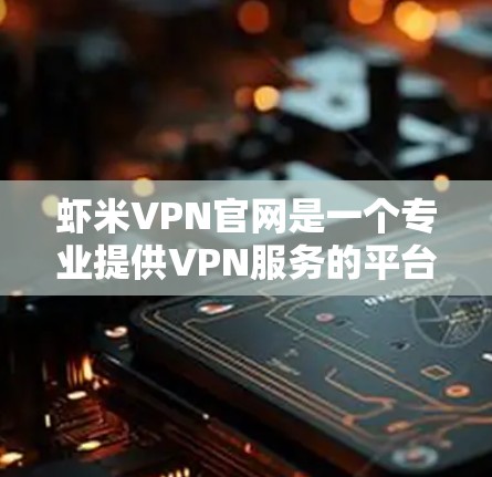 虾米VPN官网是一个专业提供VPN服务的平台，适合追求安全和可靠性的用户。以下是对虾米VPN的详细分析