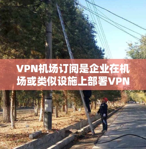 VPN机场订阅是企业在机场或类似设施上部署VPN技术，用于提供VPN服务。以下是配置VPN机场订阅的流程