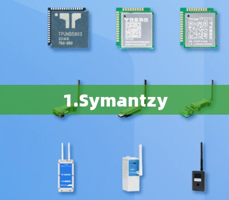 1.Symantzy 1.Symantzy