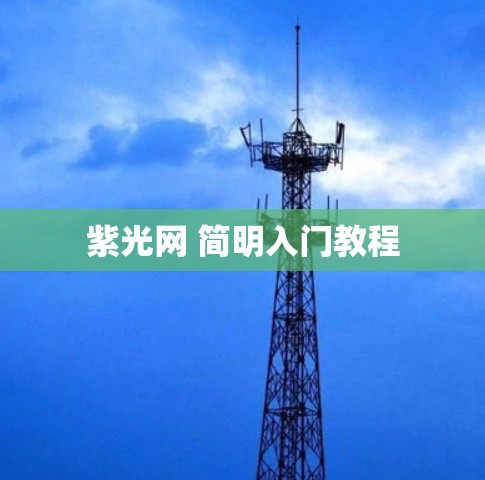 紫光网 简明入门教程