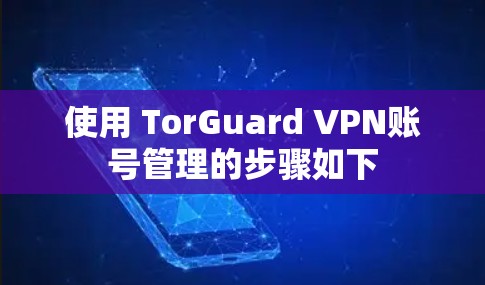 使用 TorGuard VPN账号管理的步骤如下