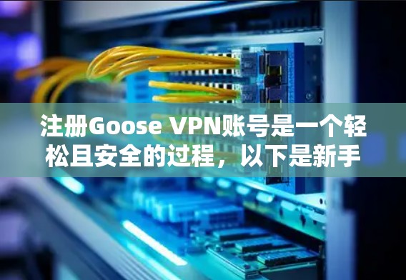 注册Goose VPN账号是一个轻松且安全的过程，以下是新手使用指南