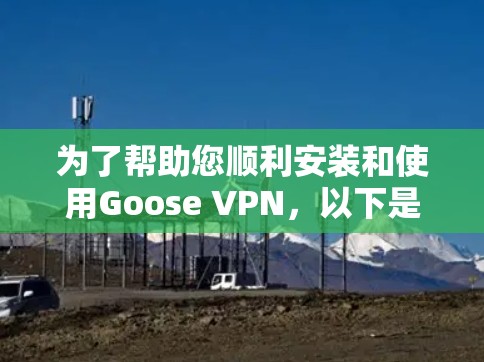 为了帮助您顺利安装和使用Goose VPN,以下是一些详细的步骤和注意事项
