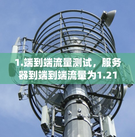 1.端到端流量测试,服务器到端到端流量为1.21 Gbps,客户端连接为1.3 Gbps,服务器连接为1.21 Gbps。这些测试显示服务器连接正常,带宽足够支持测试数据