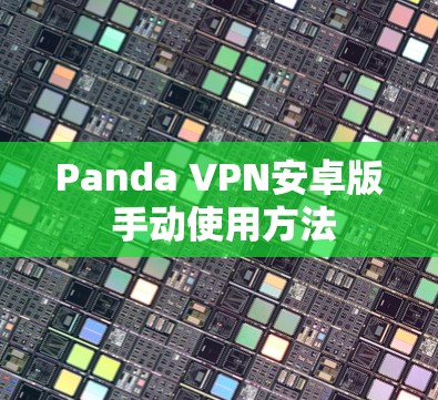 Panda VPN安卓版 手动使用方法