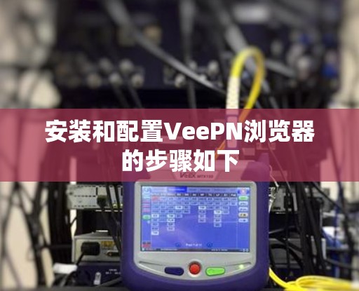 安装和配置VeePN浏览器的步骤如下