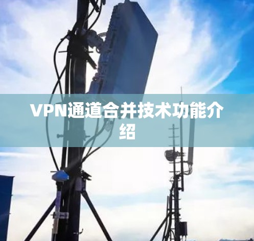 VPN通道合并技术功能介绍