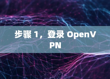 步骤 1，登录 OpenVPN