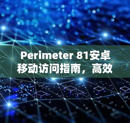 Perimeter 81安卓移动访问指南，高效安全，防止恶意活动的全面解决方案