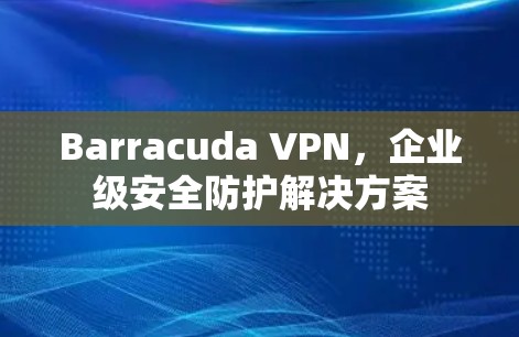 Barracuda VPN，企业级安全防护解决方案