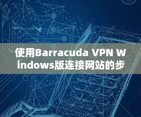 使用Barracuda VPN Windows版连接网站的步骤如下