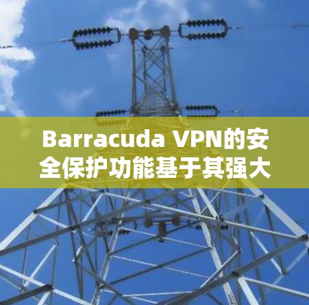 Barracuda VPN的安全保护功能基于其强大的防火墙、多端访问和加密机制,确保用户数据的安全。以下是该产品的核心功能和防御措施