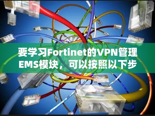 要学习Fortinet的VPN管理EMS模块，可以按照以下步骤进行