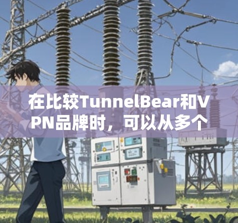 在比较TunnelBear和VPN品牌时，可以从多个维度进行分析，以明确每个品牌的适用性。以下是详细的比较分析