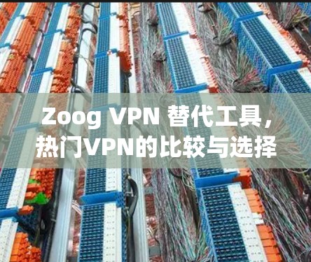 Zoog VPN 替代工具，热门VPN的比较与选择指南
