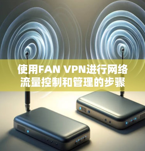 使用FAN VPN进行网络流量控制和管理的步骤如下