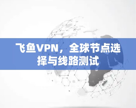 飞鱼VPN，全球节点选择与线路测试
