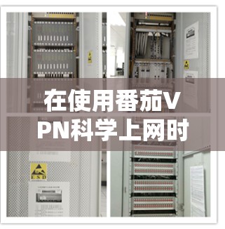 在使用番茄VPN<strong>科学上网</strong>时，建议按照以下步骤进行配置和设置