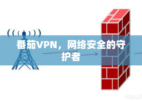 番茄VPN，网络安全的守护者