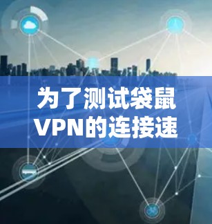 为了测试袋鼠VPN的连接速度性能，您可以按照以下步骤进行分析