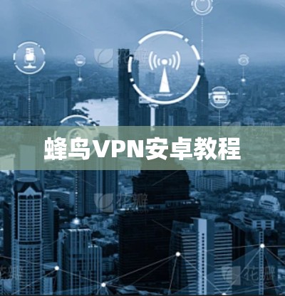 蜂鸟VPN安卓教程